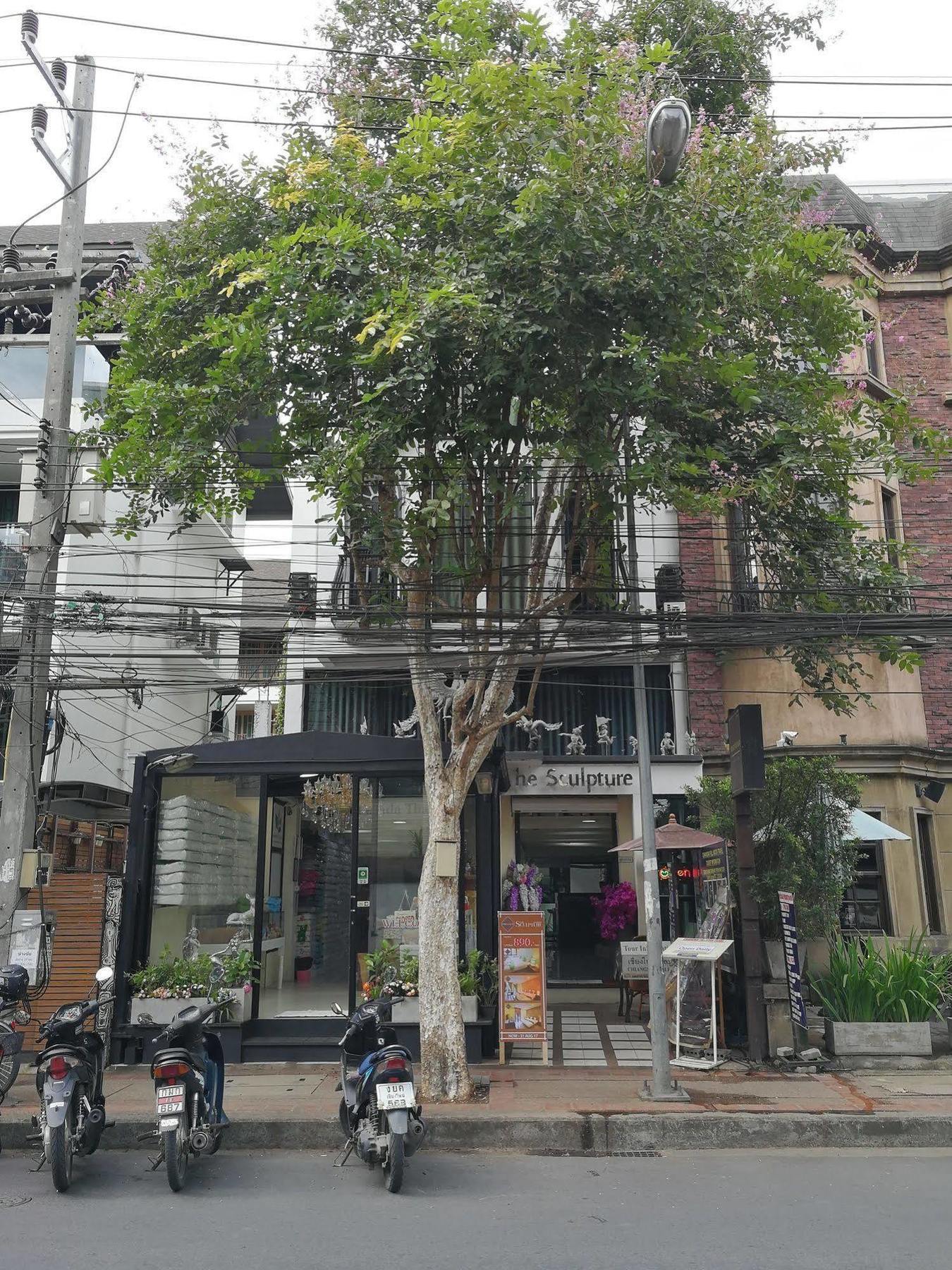 清邁 The Sculpture酒店 外观 照片
